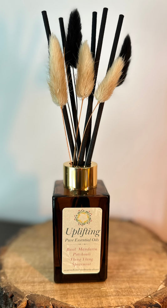 Uplifting essential oil reed diffuser with basil, mandarin, patchouli, ylang ylang and spearmint in amber glass bottle with black reeds