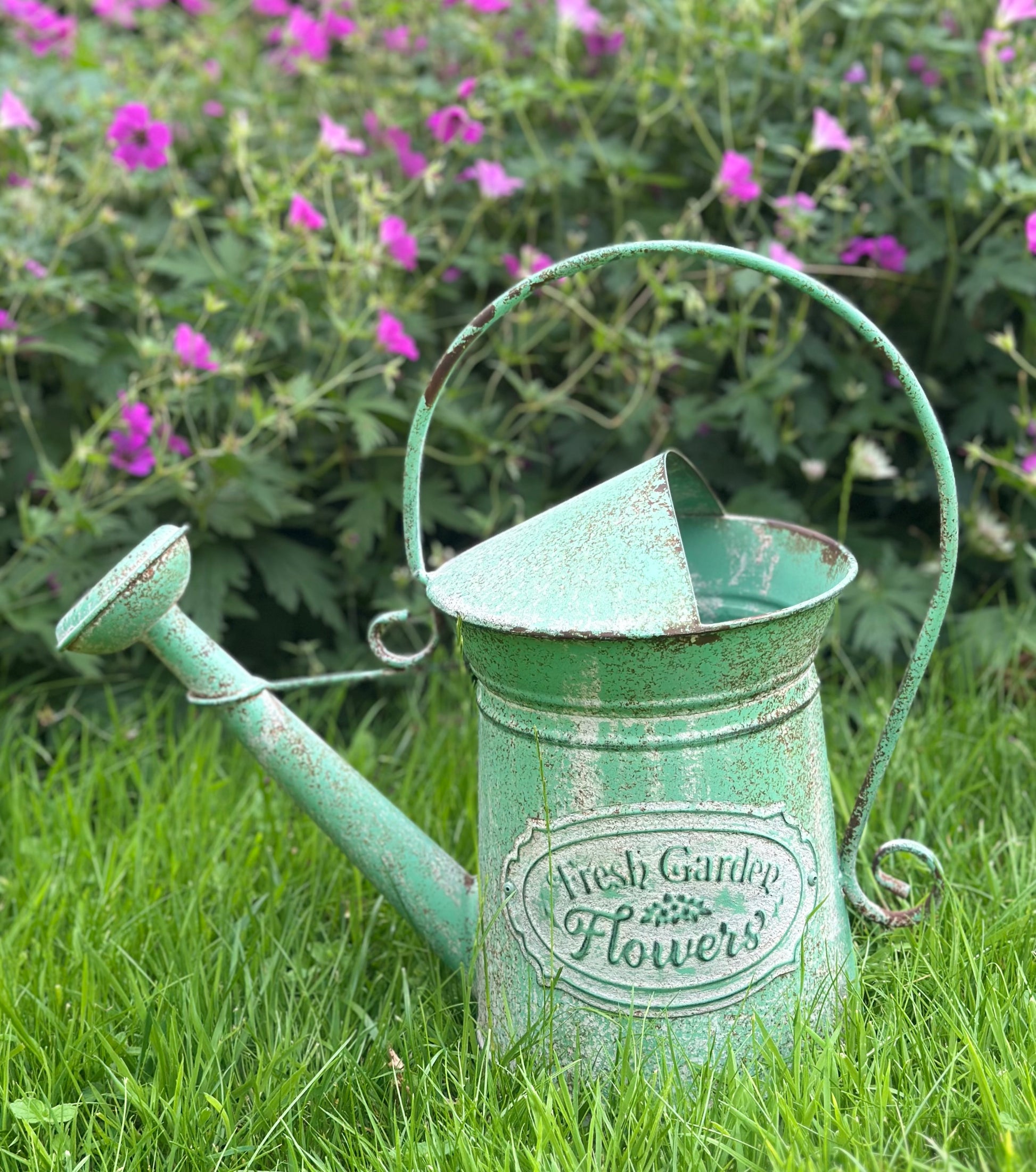 A distressed light green metal watering can with a conical spout and a handle loop, featuring a vintage-style label that reads 'Fresh Garden Flowers'. It is placed on green grass with a background of purple flowers.