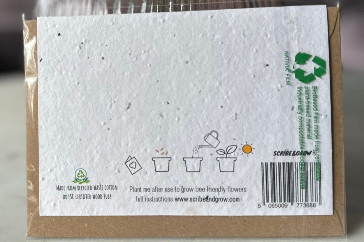 the reverse of the card, featuring the planting instructions of the wildflower seed card