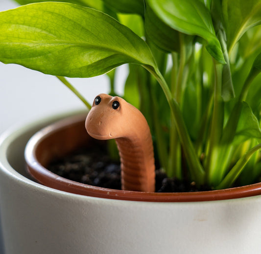 Small worm peeking out from behind a potted plant water sensor