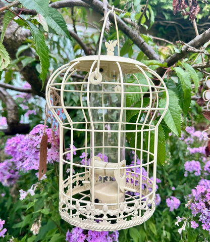 yellow bird feeder with protective cage