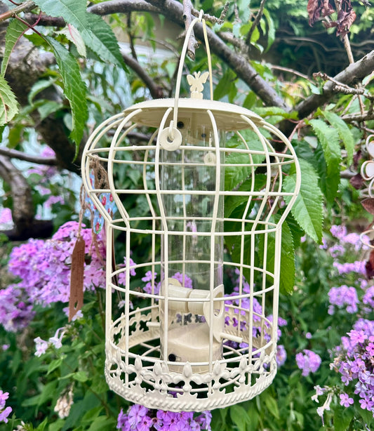 yellow bird feeder with protective cage